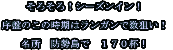 そろそろ！シーズンイン！  序盤のこの時期はランガンで数狙い！  名所　防勢島で　１７０杯！